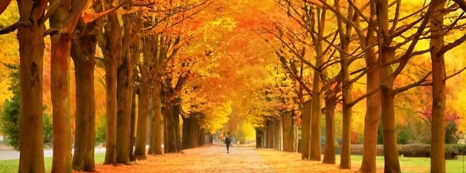 images/data/slide/pngtree-autumn-background-images-free-download-you-image_15631423.jpg